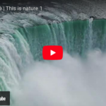 click video natura davide franchini